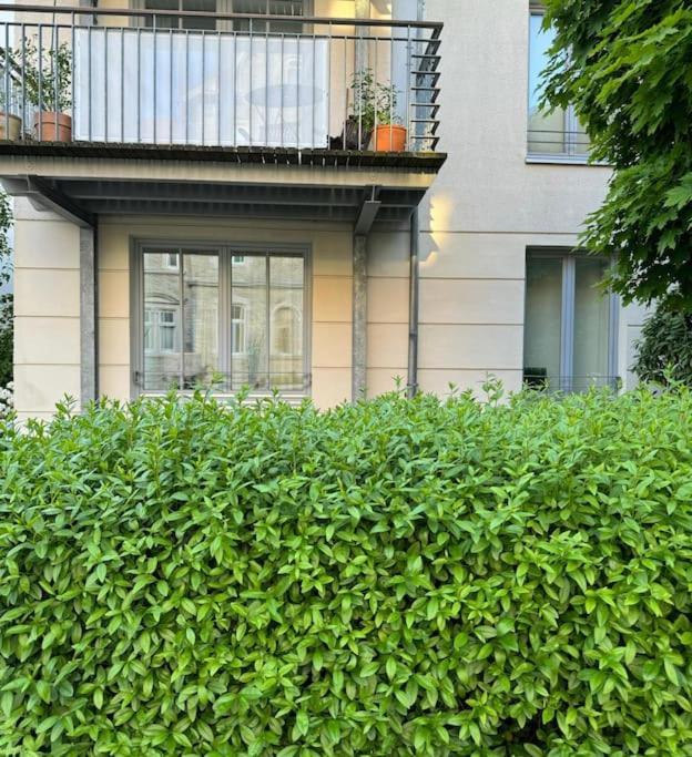 Gemuetliches Apartment Im Herzen Detmolds ภายนอก รูปภาพ