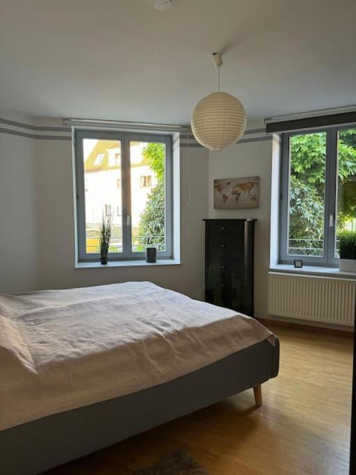 Gemuetliches Apartment Im Herzen Detmolds ภายนอก รูปภาพ